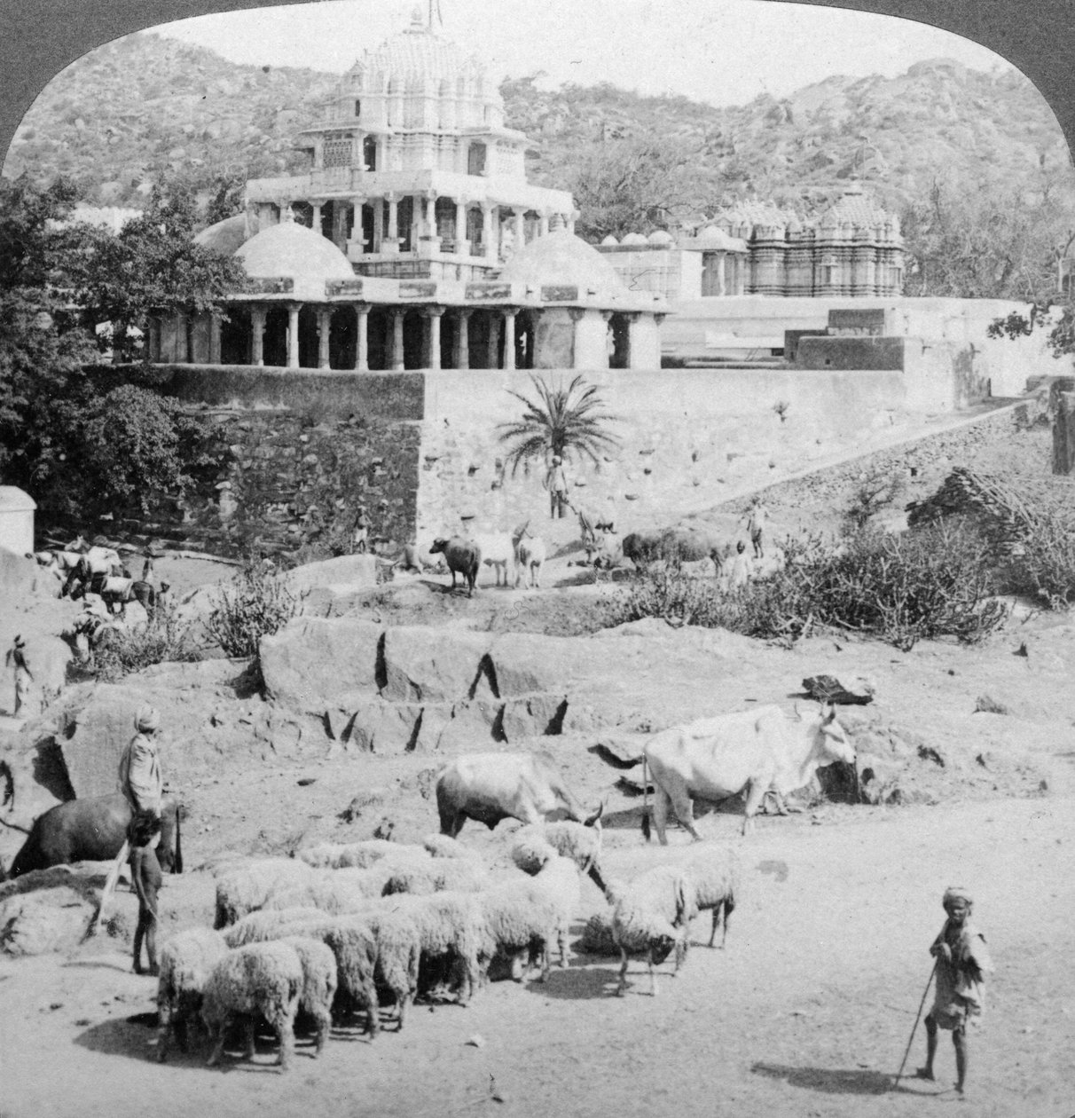 Chrámy džinistů, Mount Abu, Indie, 1902. od Underwood and Underwood