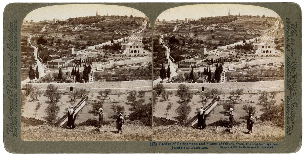 Getsemanská zahrada a Olivová hora, Palestina, 1908. od Underwood and Underwood