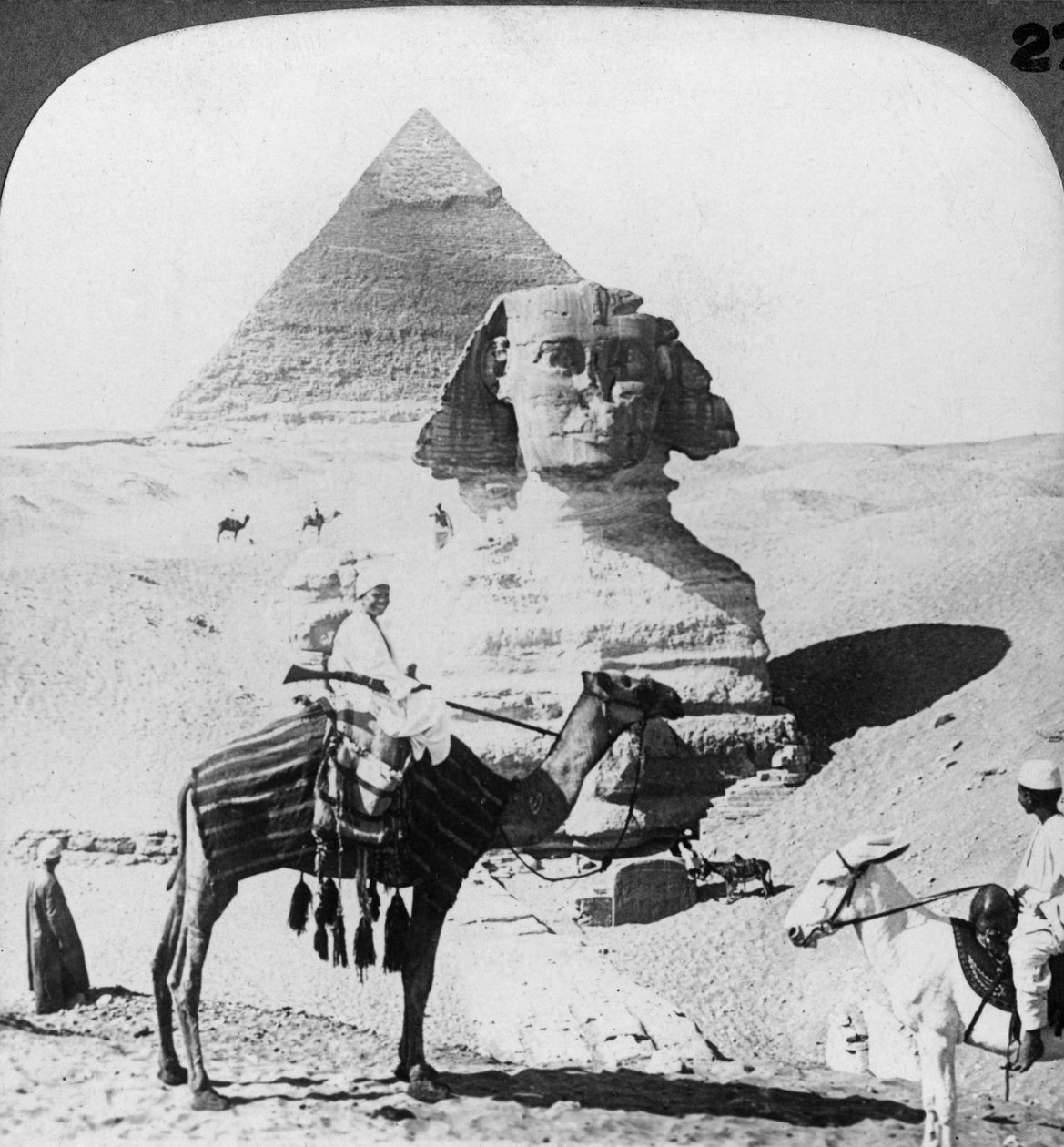 Velká sfinga v Gíze, Egypt, 1905. od Underwood and Underwood