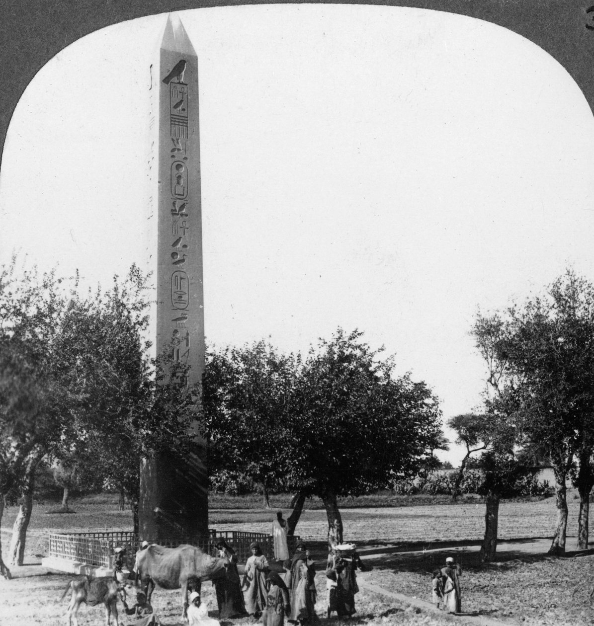 Obelisk z Heliopolis, Egypt, 1905. od Underwood and Underwood