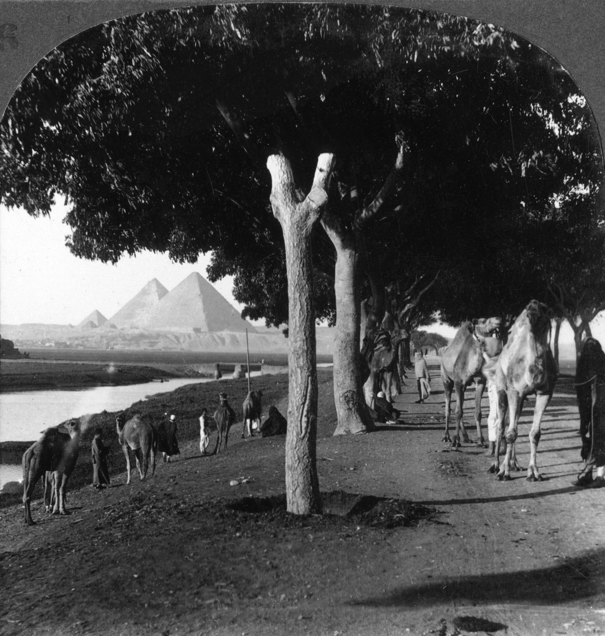 Cesta k pyramidám, Gíza, Egypt, 1905. od Underwood and Underwood