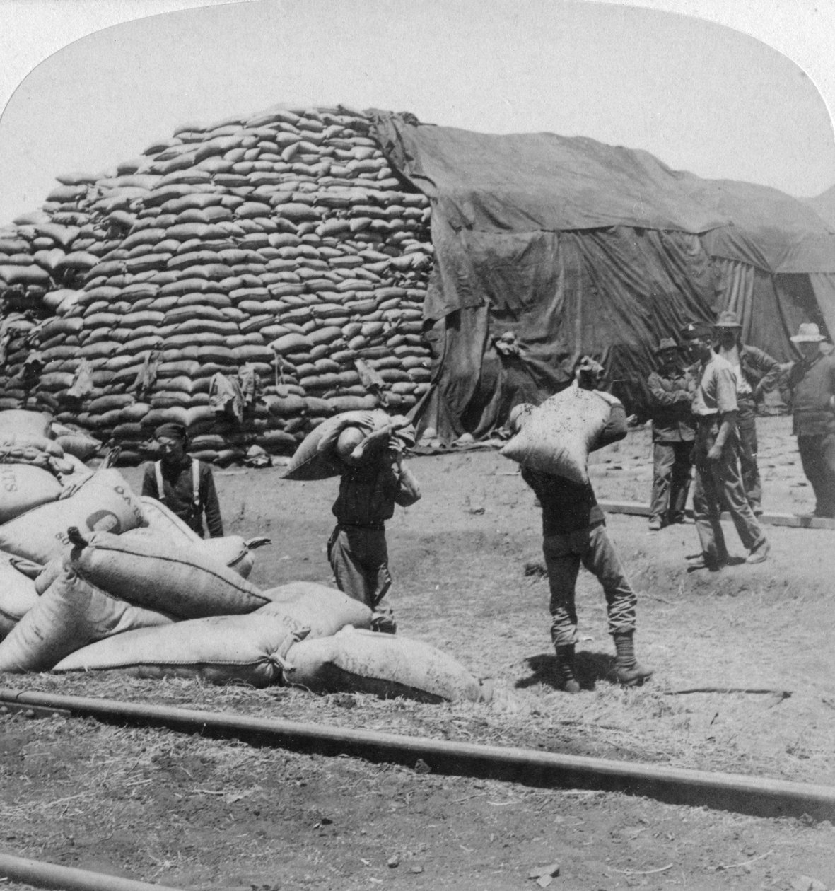 Tuny a tuny ovsa pro Tommyho věrného přítele, De Aar, Jižní Afrika, Búrská válka, 1900. od Underwood and Underwood