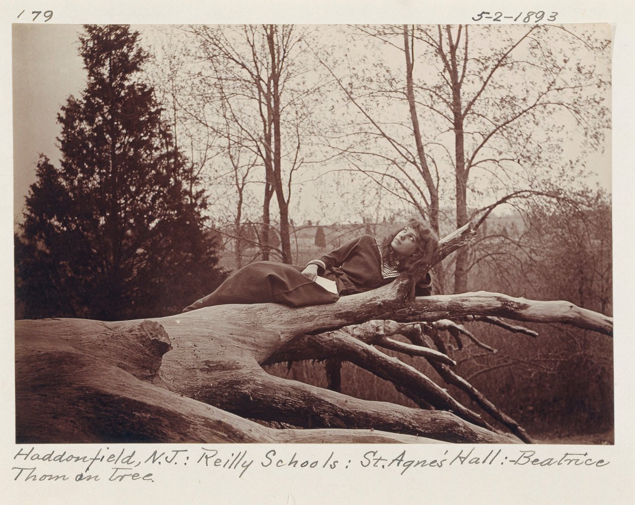 [Beatrice Thom na stromě, Haddonfield, New Jersey] od Unidentified