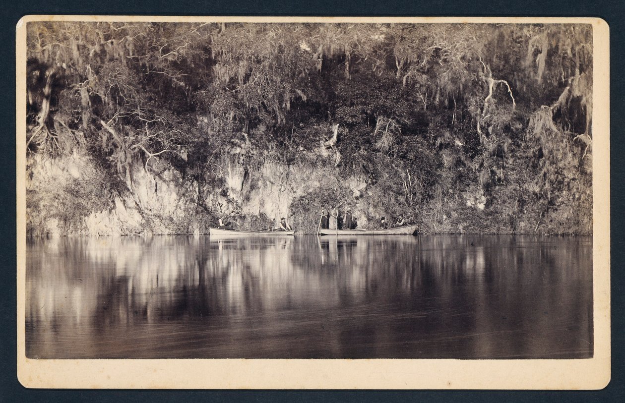 [Pod útesy řeky Withlacoochee, Florida] od Unidentified