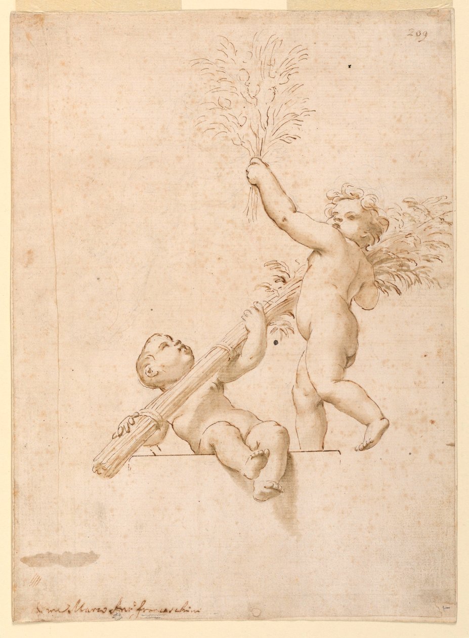 Design pro lunetu, kostel Corpus Domini od Unknown