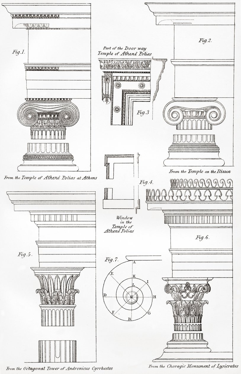 Příklady iónských a korintských řádů v řecké architektuře, z The National Encyclopaedia, publikované kolem roku 1890 od Unbekannt Unbekannt