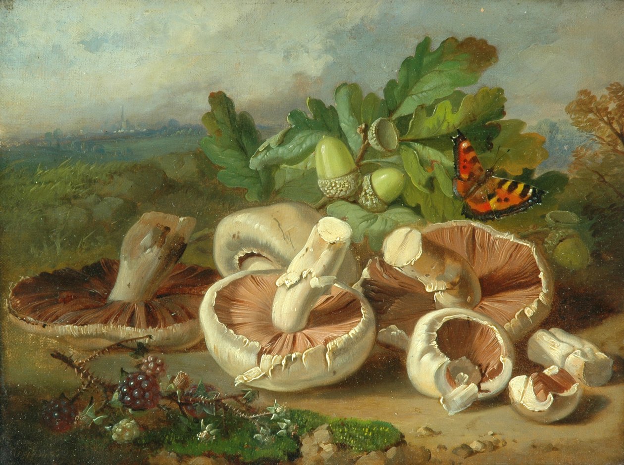 Zátiší s houbami atd., 1859 od Unknown