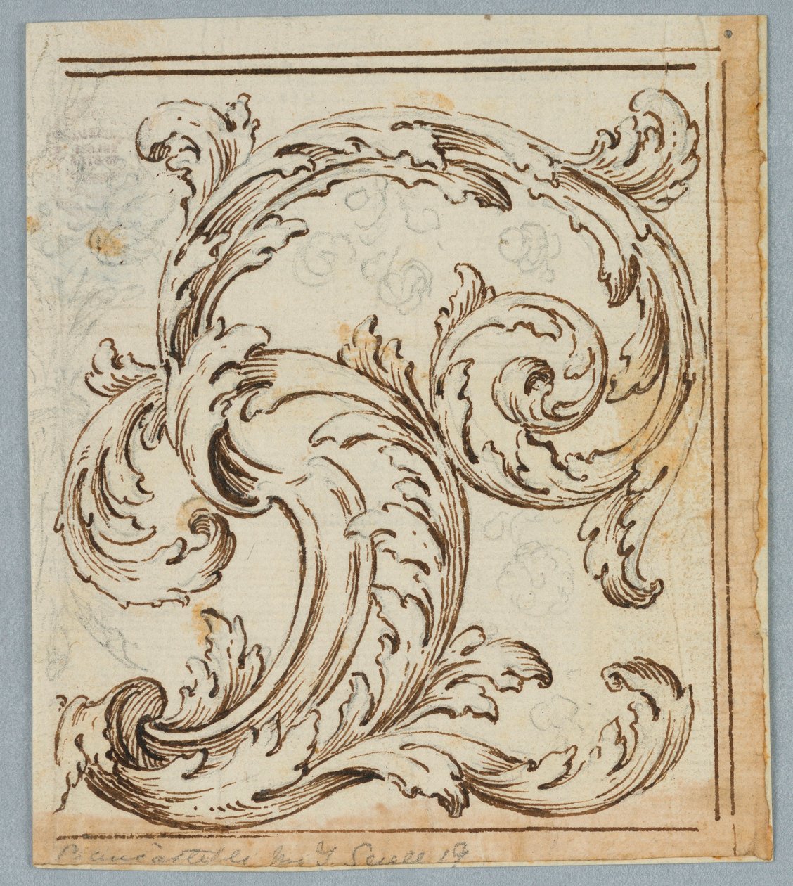 Kresba, Rinceau Design, 1725–1750 od Unknown