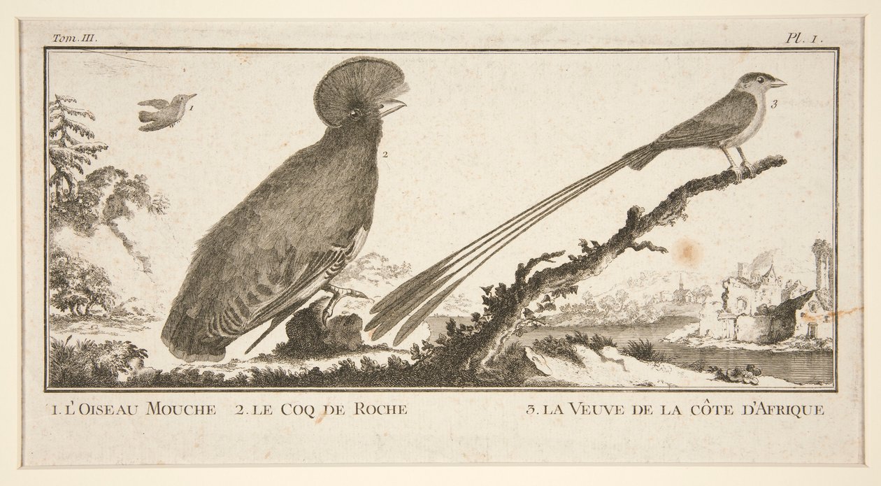 1. L od Unknown