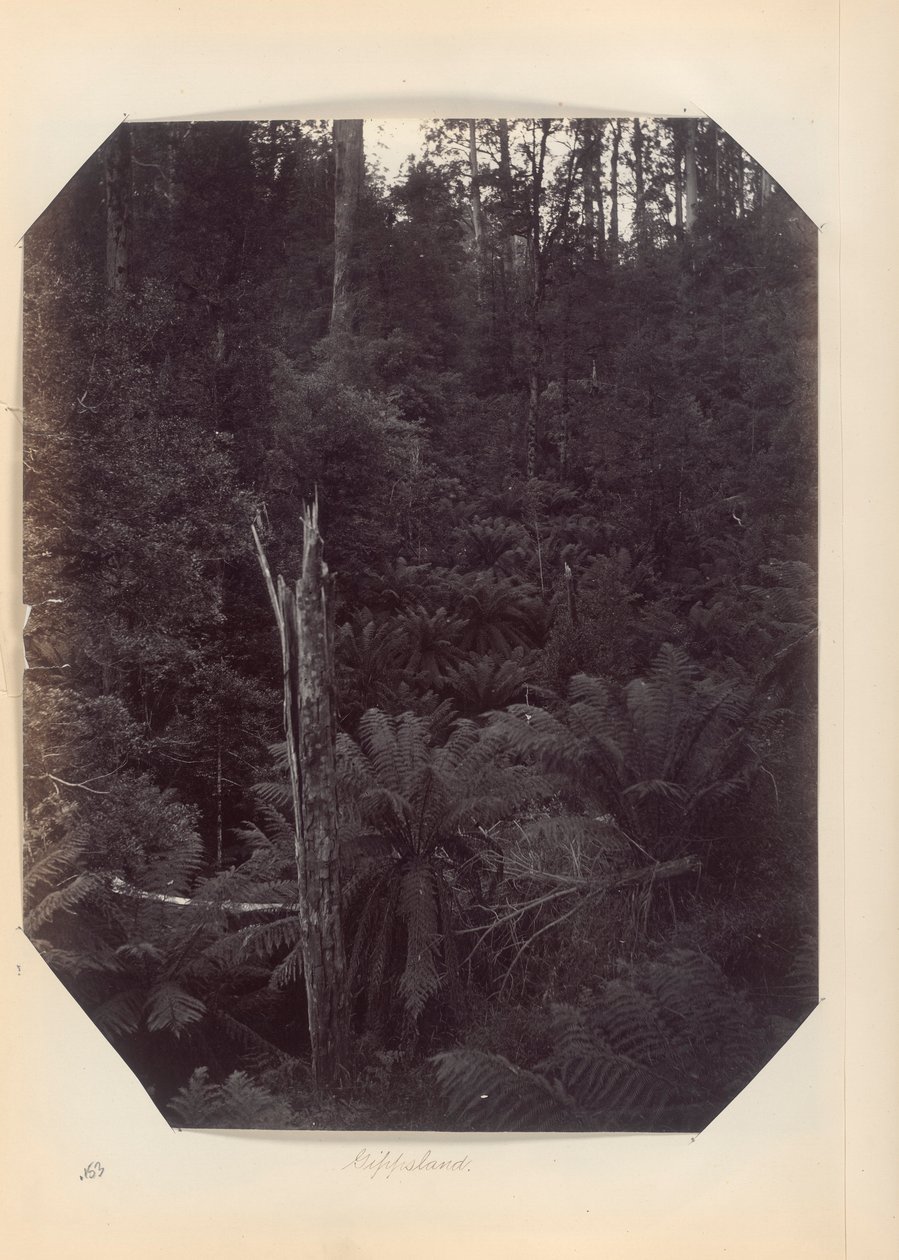 Austrálie – (Victoria and South Australia) od Unknown
