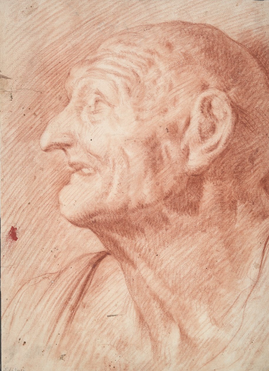 Busta Seneca od Unknown