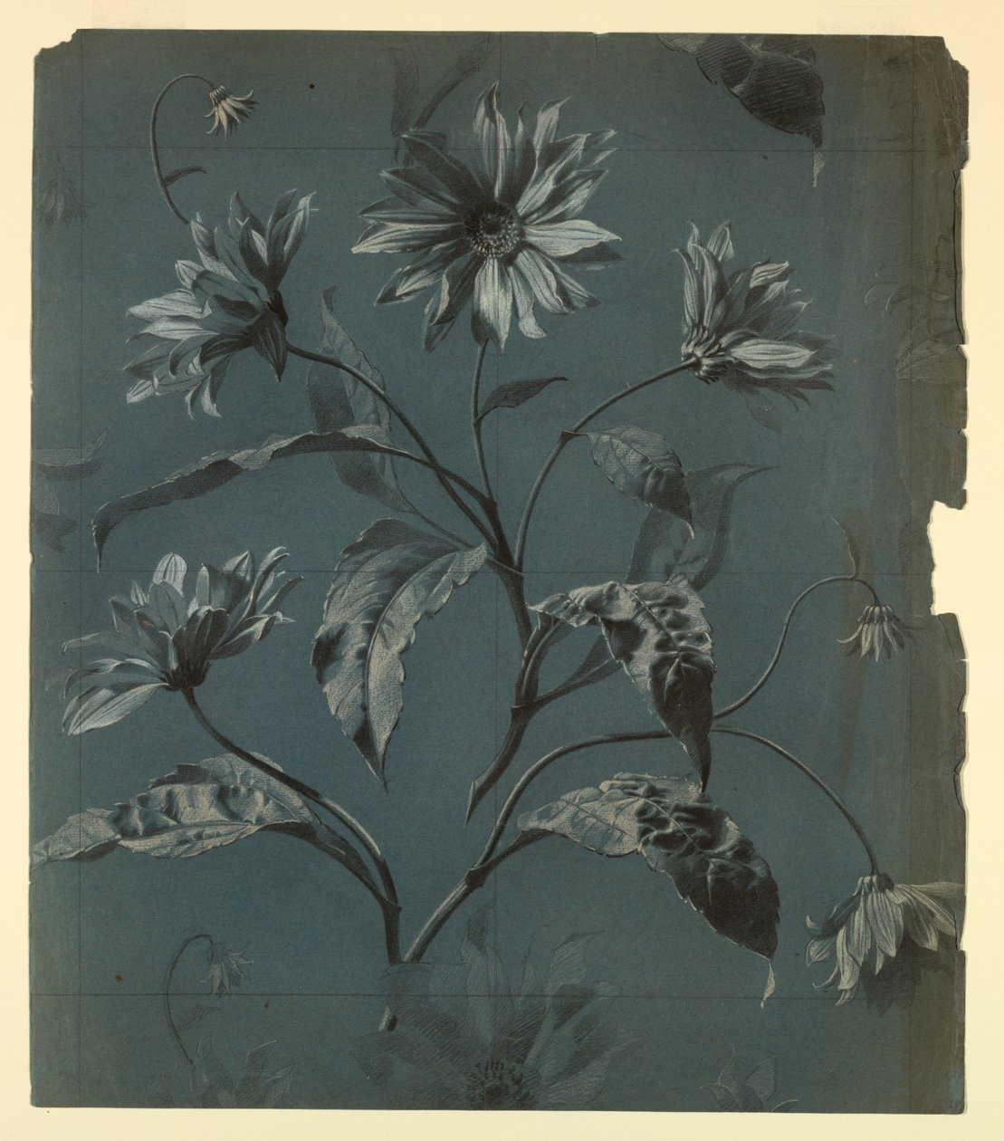 Design pro tapetu nebo textil z květu typu Daisy s opakováním od Unknown