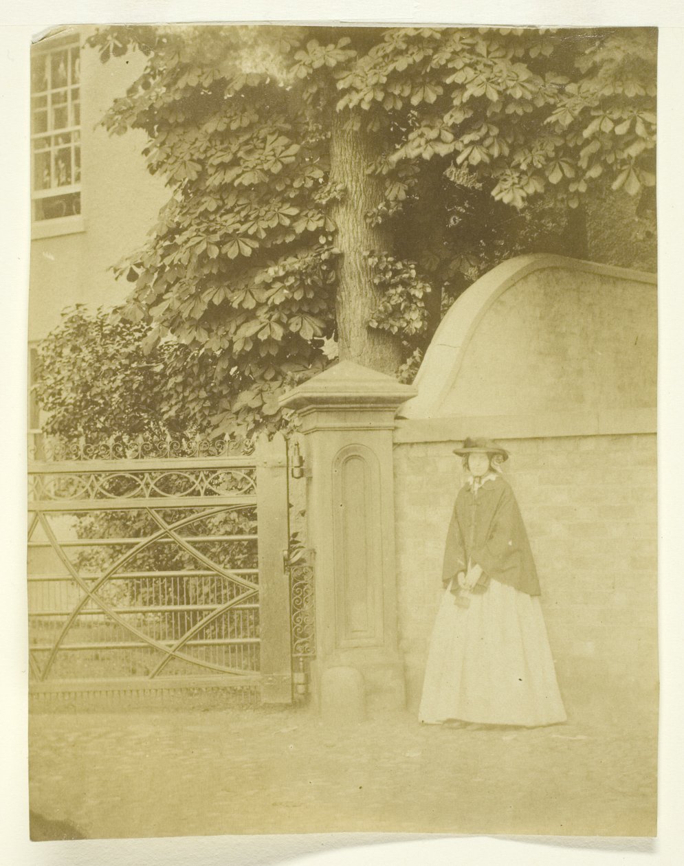 paní Craiková od Unknown