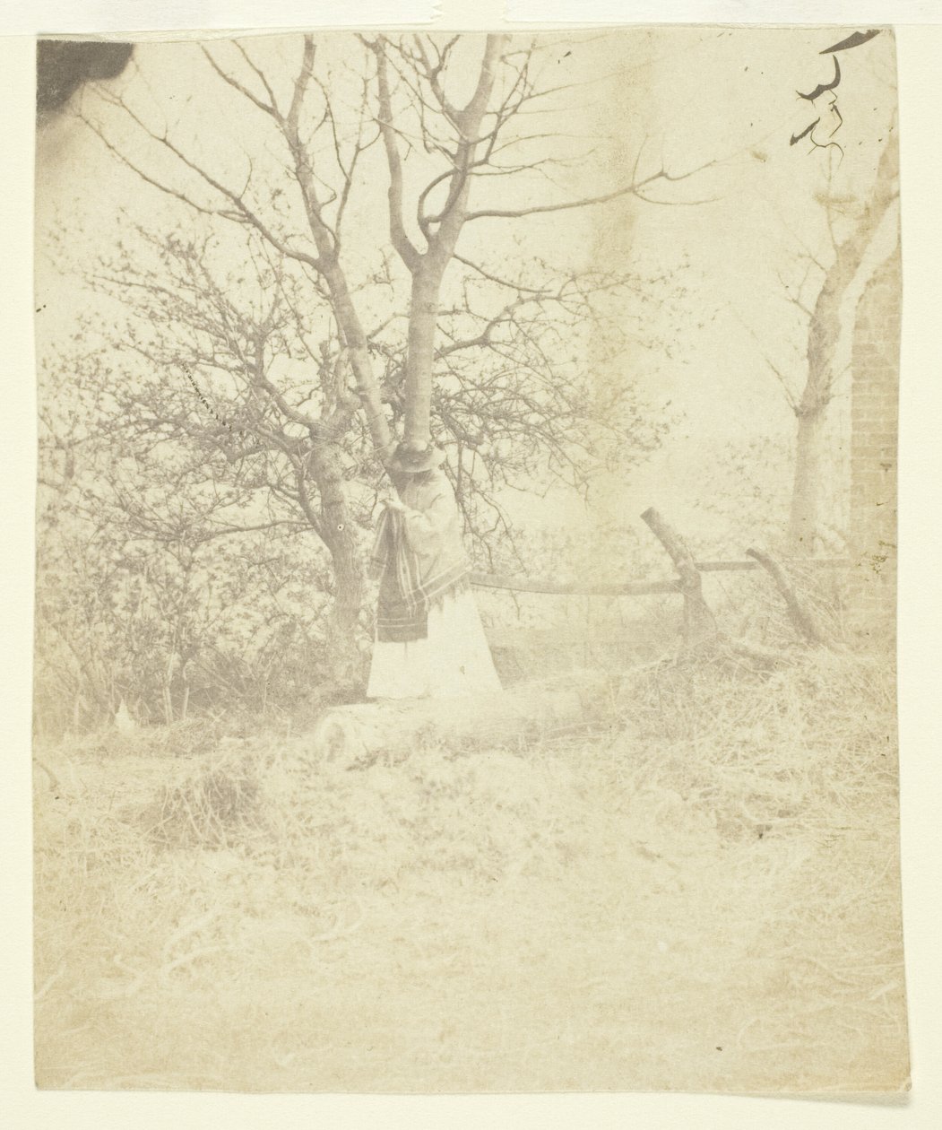 paní Craiková od Unknown