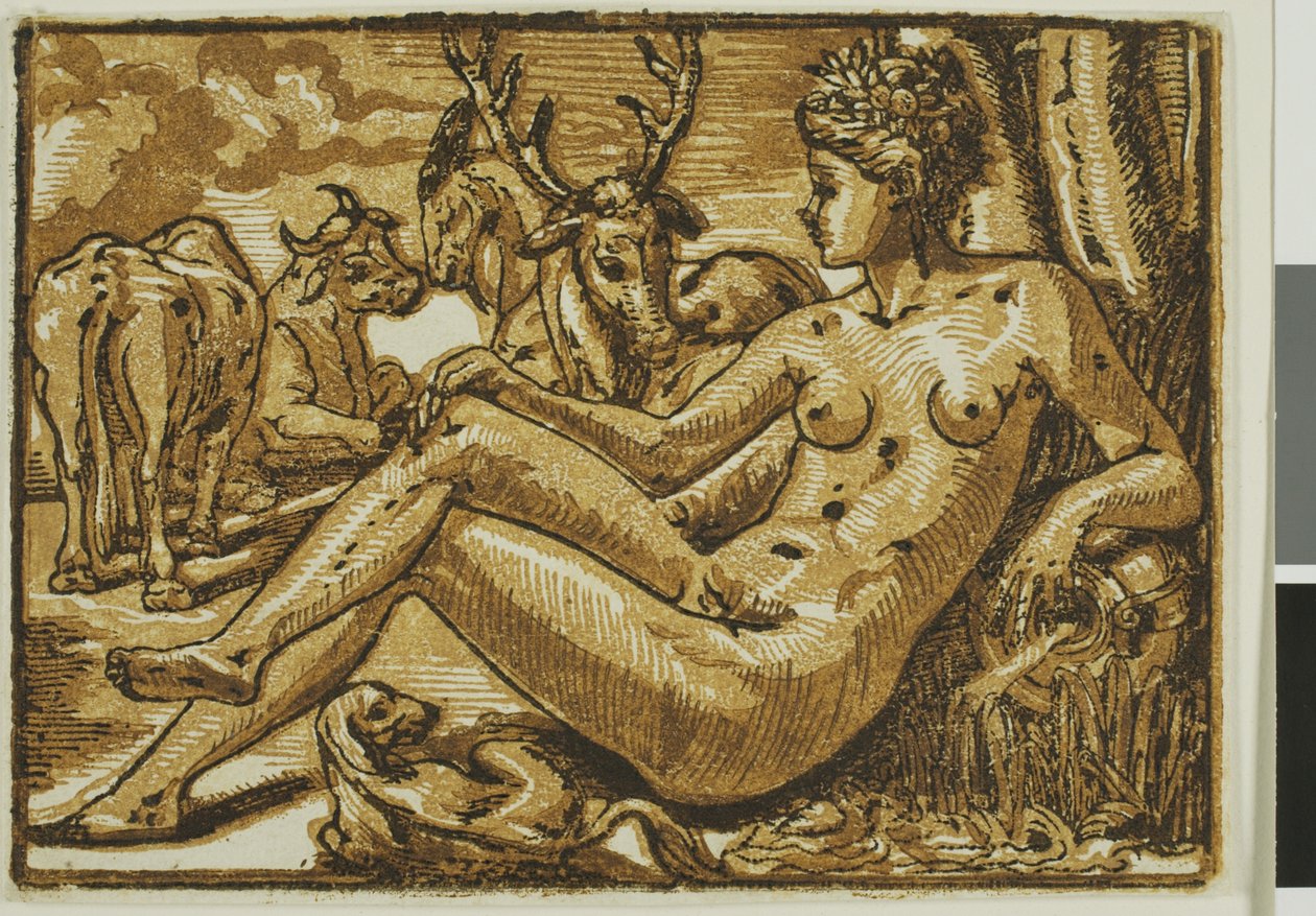 Nymfa z Fontainebleau od Unknown
