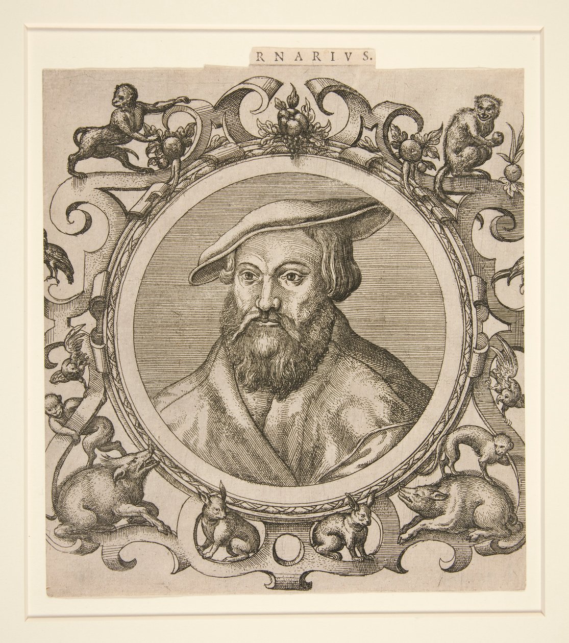 Portrét Carnarius (?) od Unknown