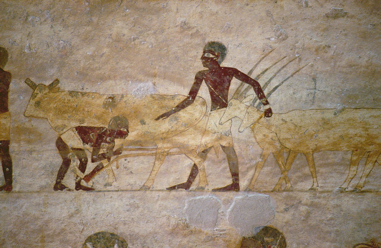 Průvod s dobytkem a gazelami, detail z nástěnné malby hrobky, egyptská, stará až střední říše (malovaný vápenec) od Unknown