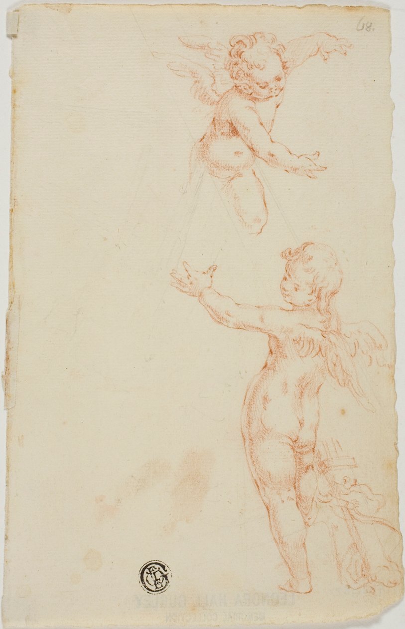 Dva okřídlení putti, jeden létající od Unknown