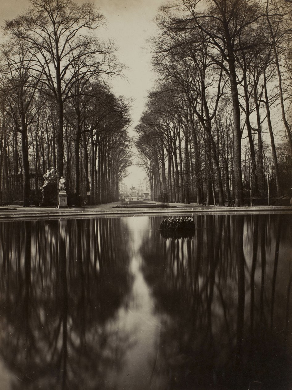 Bez názvu (Versailles) od Unknown