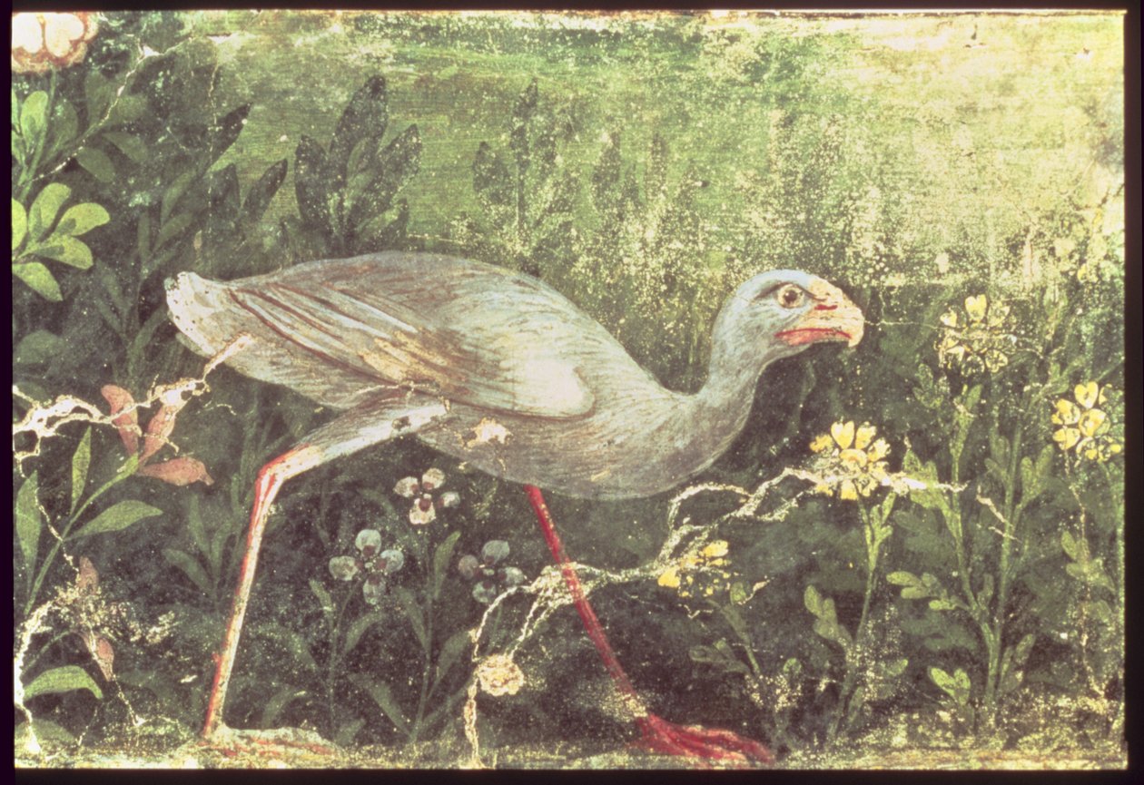 Nástěnná malba sultánského kuřete v zahradě, Pompeje, 1. století našeho letopočtu od Unknown