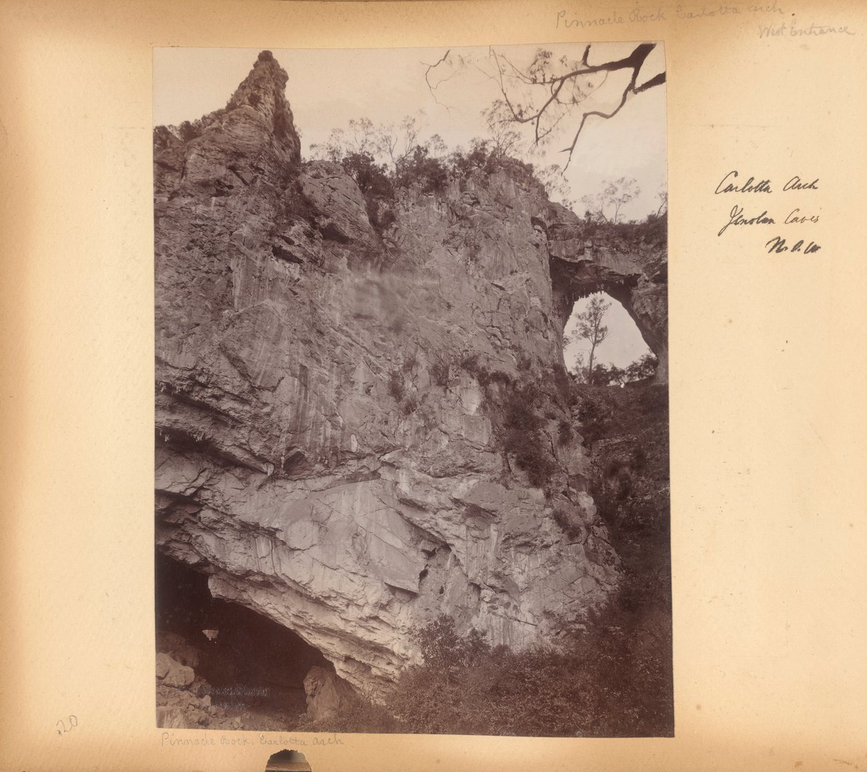 , z alba New South Wales od Unknown