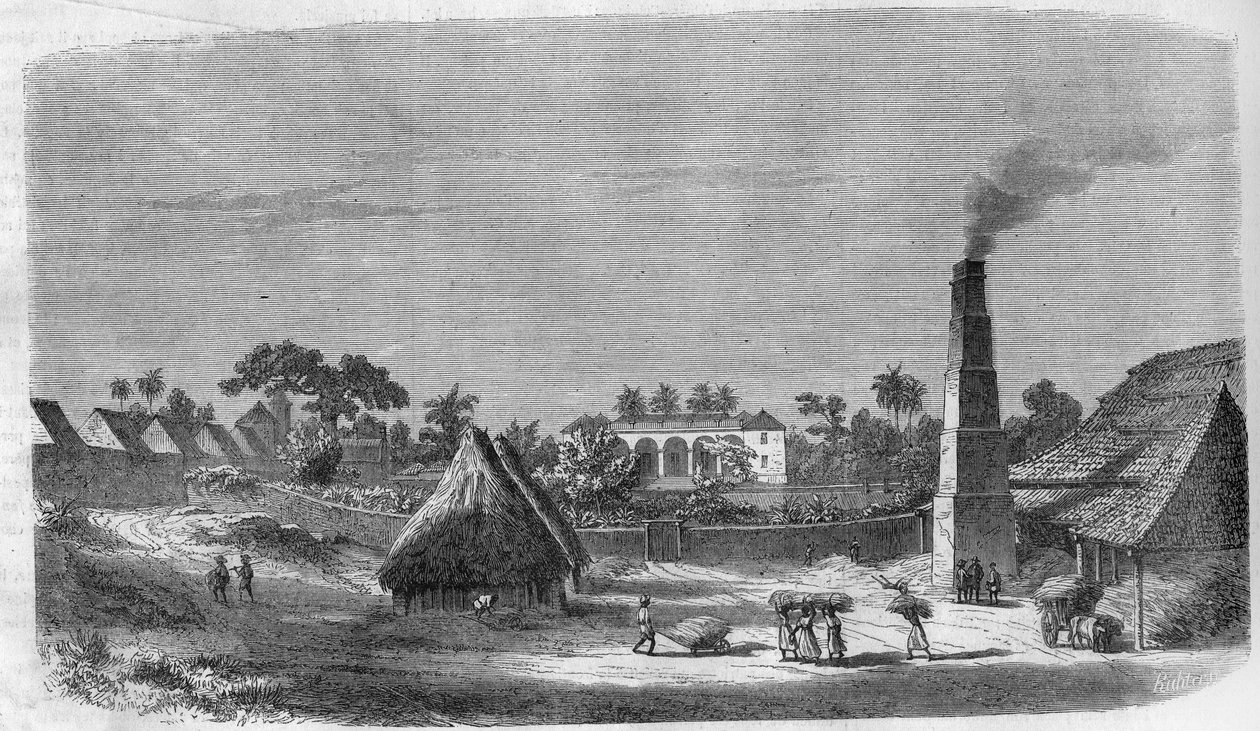 Továrna na cukrovinky na ostrově Kuba v roce 1869. od Unknown artist
