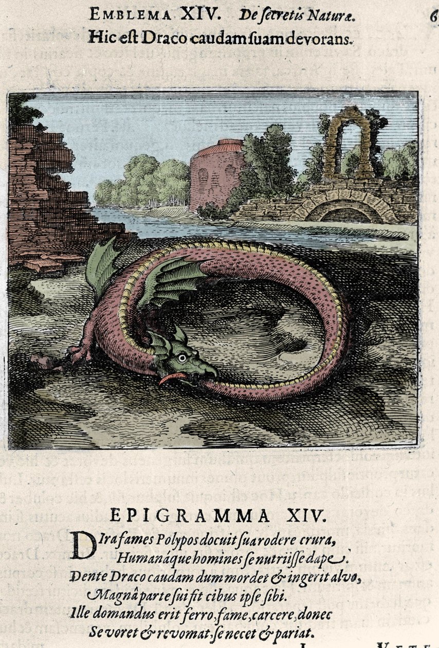 Drak mlátící ocasem (nebo Ouroburo (?)). Deska převzatá z alchymie ""Létající Atalanta je emblematickým románem tajné chemie přírody" od Michela Maiera (1568-1622) od Unknown artist