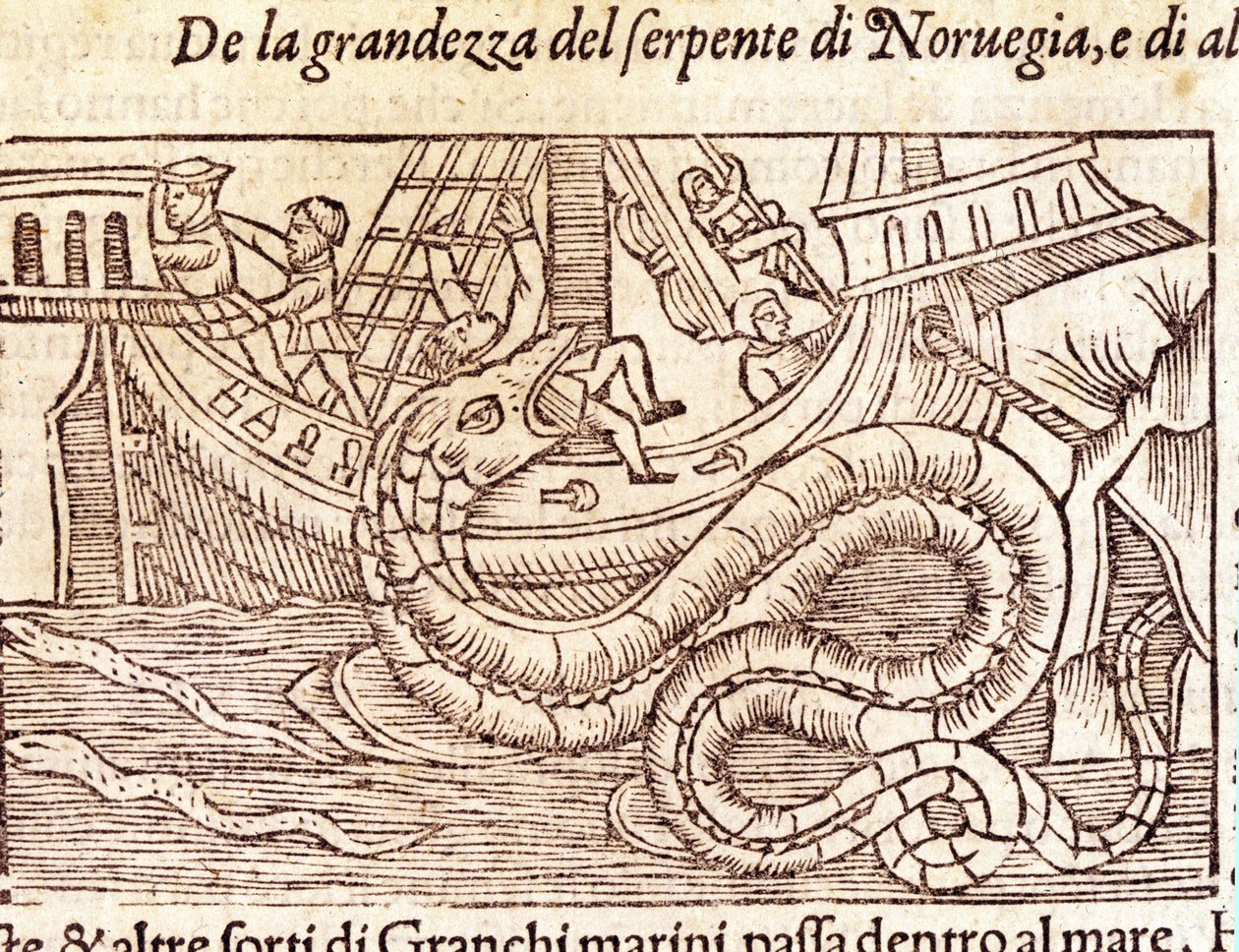Obrovský mořský had napadne loď a zbije její posádku. Rytina Olause Magnuse (1490 - 1557), švédského náboženského a geografa, „Historia de Gentis Septentrionalibus“, Benátky od Unknown artist