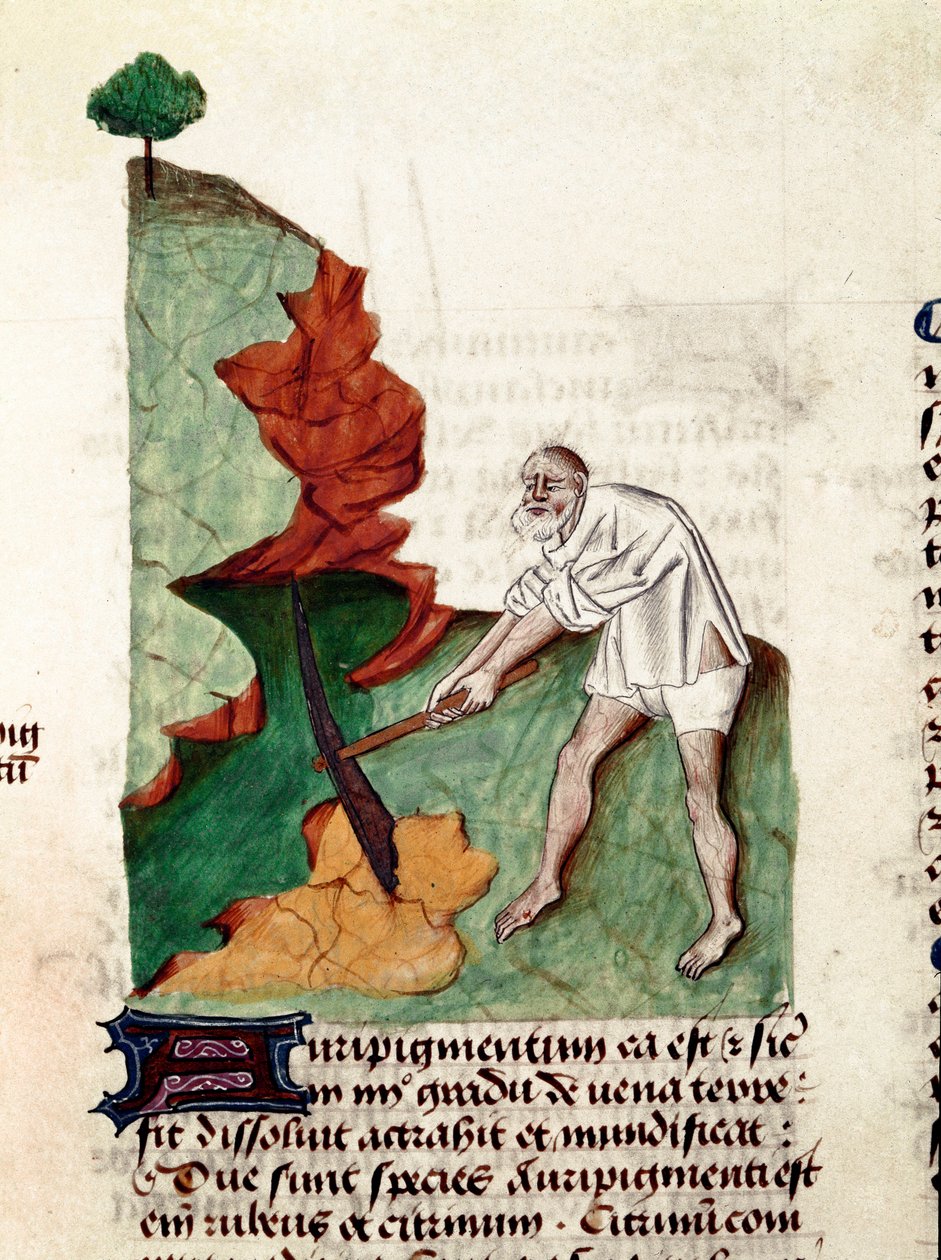 Stránka hledače zlata z rukopisu ""Léky na bylinkách" (Tractatus de herbs) od Pedanius Dioscorides (Dioscorides) (40-90 n. l.) Lat.1152 od Unknown artist