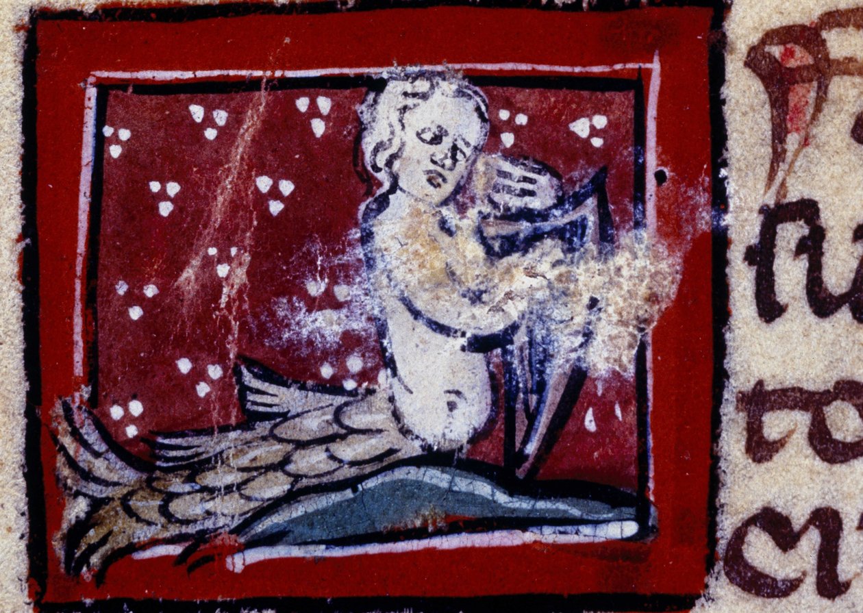 Siréna - Bestiář 14. století. Milan, Knihovna Trivulziana. od Unknown artist