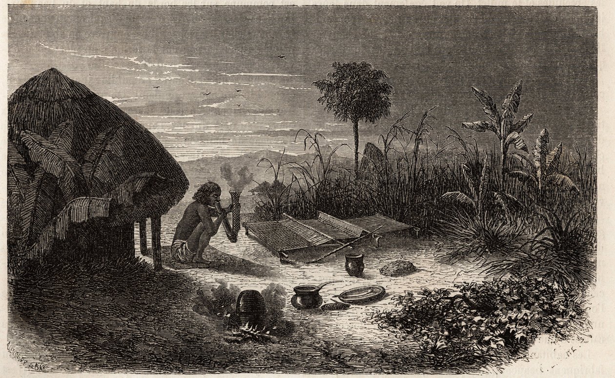 Tkadlec a jeho tkadlec na břehu řeky Zambeze. Rytina pro ilustraci prvních plaveb Dr. Livingstonea do jižní Afriky v letech 1840 až 1856 v „Le tour du monde, nouveau journal des voyages““ vydaném pod vedením Edouarda Chartona od Unknown artist