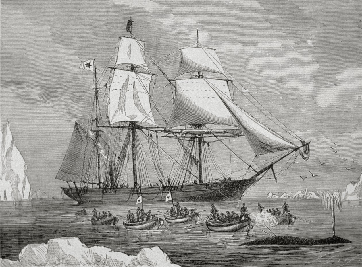 Velrybář s lodí rychle k „rybě“ (s dělovou harpunou) od Unknown artist