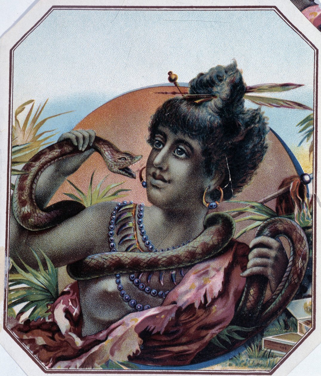 Africká černoška a had - štítek na krabici od doutníků, konec 19. století od Unknown artist
