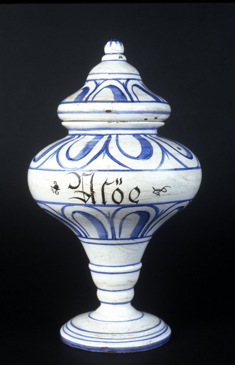 Albarelle: lékárnická váza ze 16. století obsahující aloe. Muzeum vědy a techniky, Milán. od Unknown artist