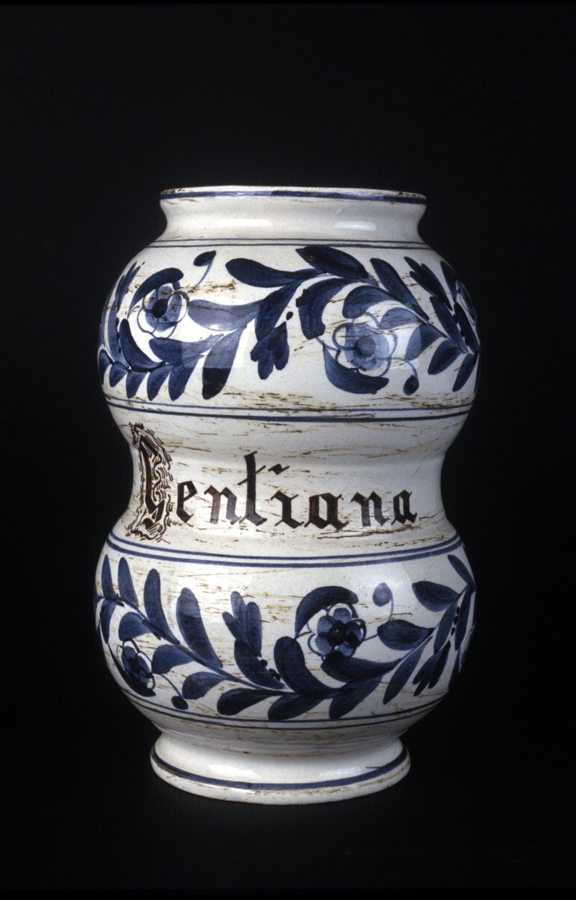Albarelle: bývalá lékárnická váza ze 16. století s hořcem. Muzeum vědy a techniky, Milán. od Unknown artist