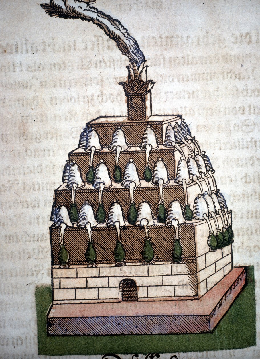 Alchymie: Athanorská čtyřka z knihy Pietra Andrea Mattioliho (Matthiole) (1500-1577). Frankfurt od Unknown artist
