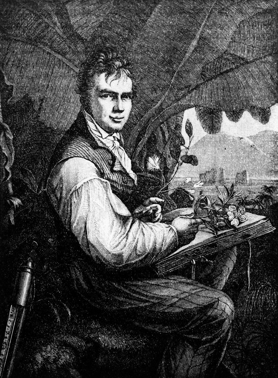 Alexander von Humboldt (Alexander de Humboldt od Unknown artist