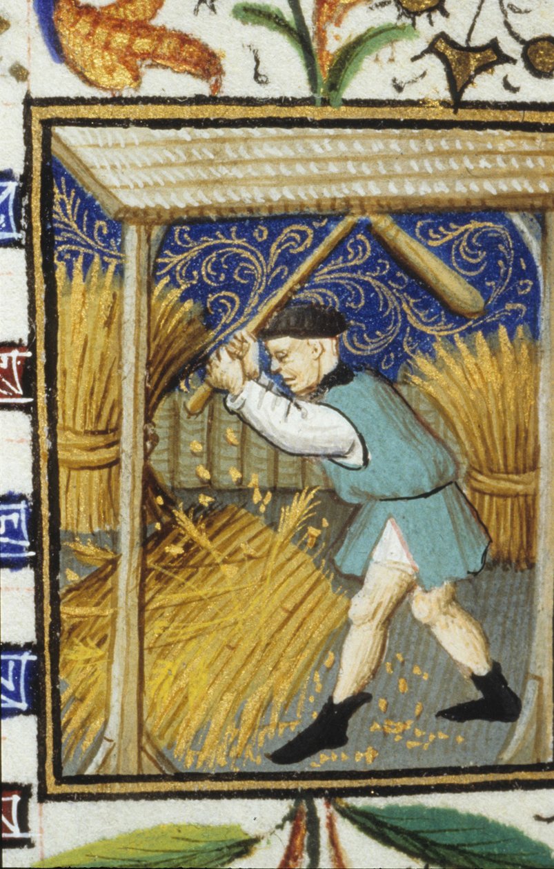 Alegorické zobrazení srpna. Rolník mlátící pšenici. Miniatura rukopisu ze 14. století. od Unknown artist