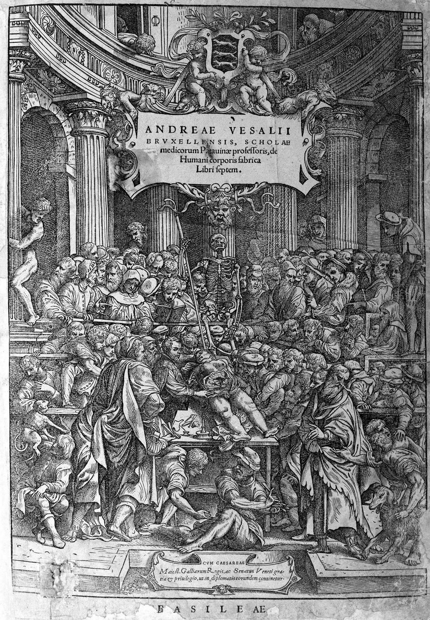 Anatomická místnost. Frontispice díla „Humani corporis fabrica libri septem 1543“ André Vésale (1514-1564), holandského anatoma (v latině: Andrea Vesalius, v holandštině: Andries Van Wesel). od Unknown artist