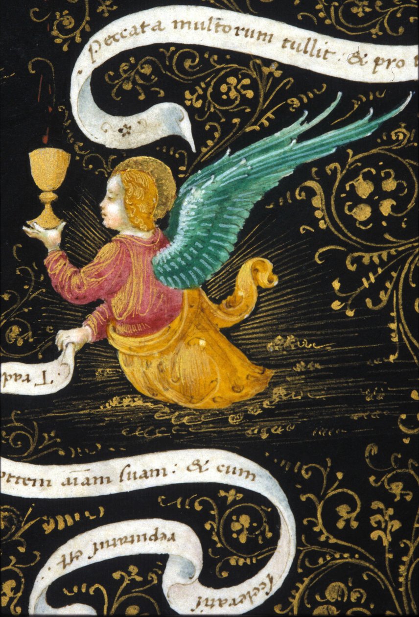 Anděl nosí kalich. Miniatura Belbello da Pavia od Unknown artist