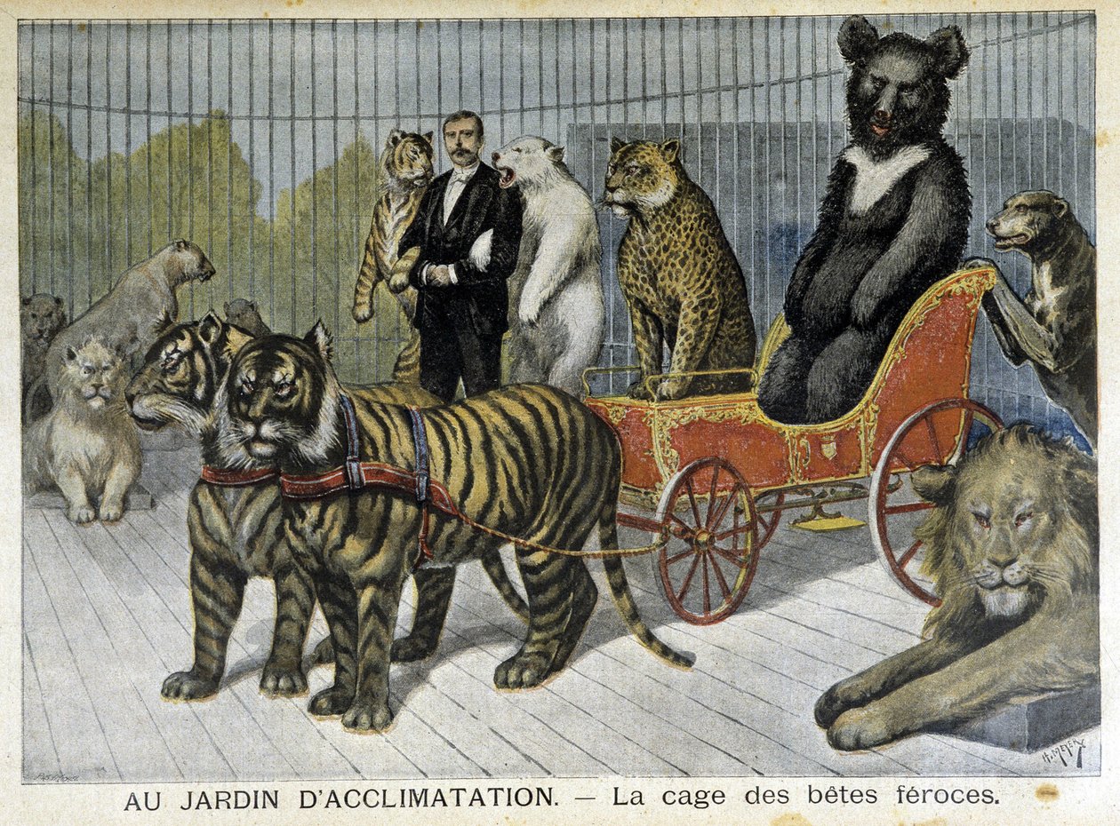 V zahradě aklimatizace: klec divokých zvířat - v „“Le Petite Journal““ z 2.6.1895 od Unknown artist