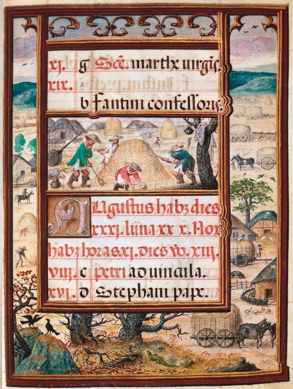 Srpen. Rolníci v práci. Strana rukopisu „Kniha hodin“ od Manuela I. Portugalského (1469-1521) 1517. Lisabon, Museo di Arte Antica od Unknown artist
