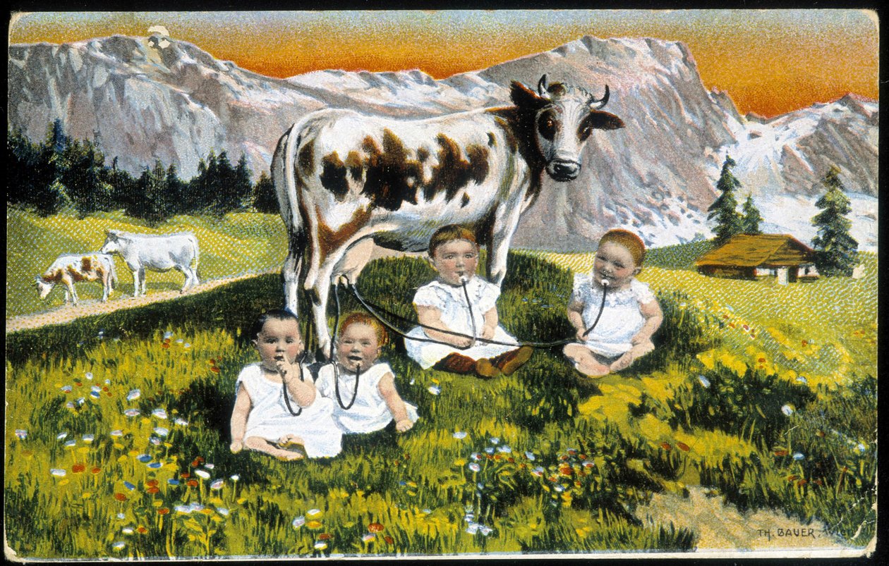 Miminka tvrdohlavá kráva potrubím - Pohlednice, konec 19. století od Unknown artist