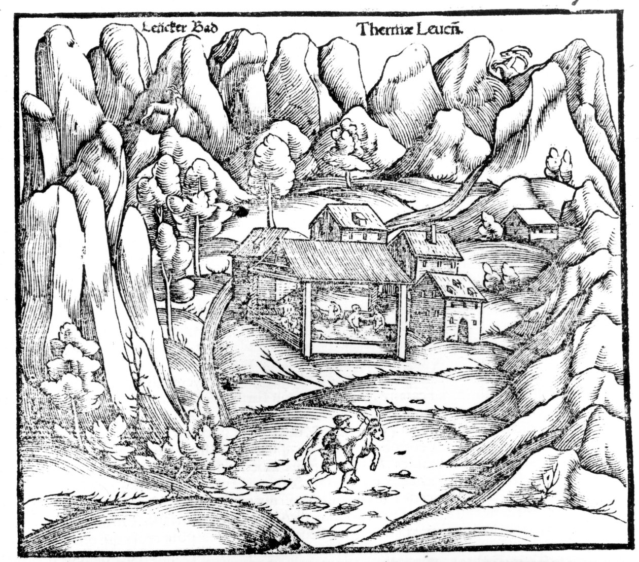 Baths of Baden (Rakousko), rytina 16. století. od Unknown artist