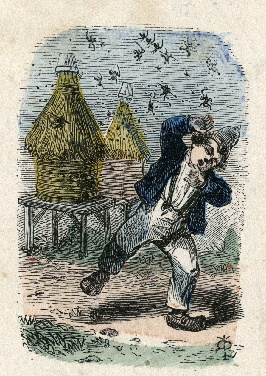 Včely napadají dítě poblíž jejich úlu. Ilustrace 19. století. Kolekce Bianchetti od Unknown artist