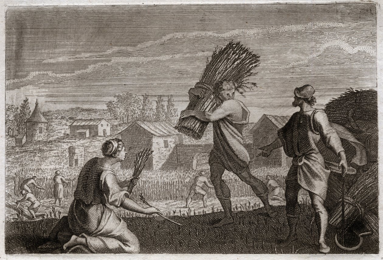Bible of Royaumont, Starý zákon: Ruth následuje svou tchyni Noemi (Naomi, Noemie) v zemi Juda a sklízí pšeničná pole Boaz (Boaz). Ilustrace z roku 1811. od Unknown artist