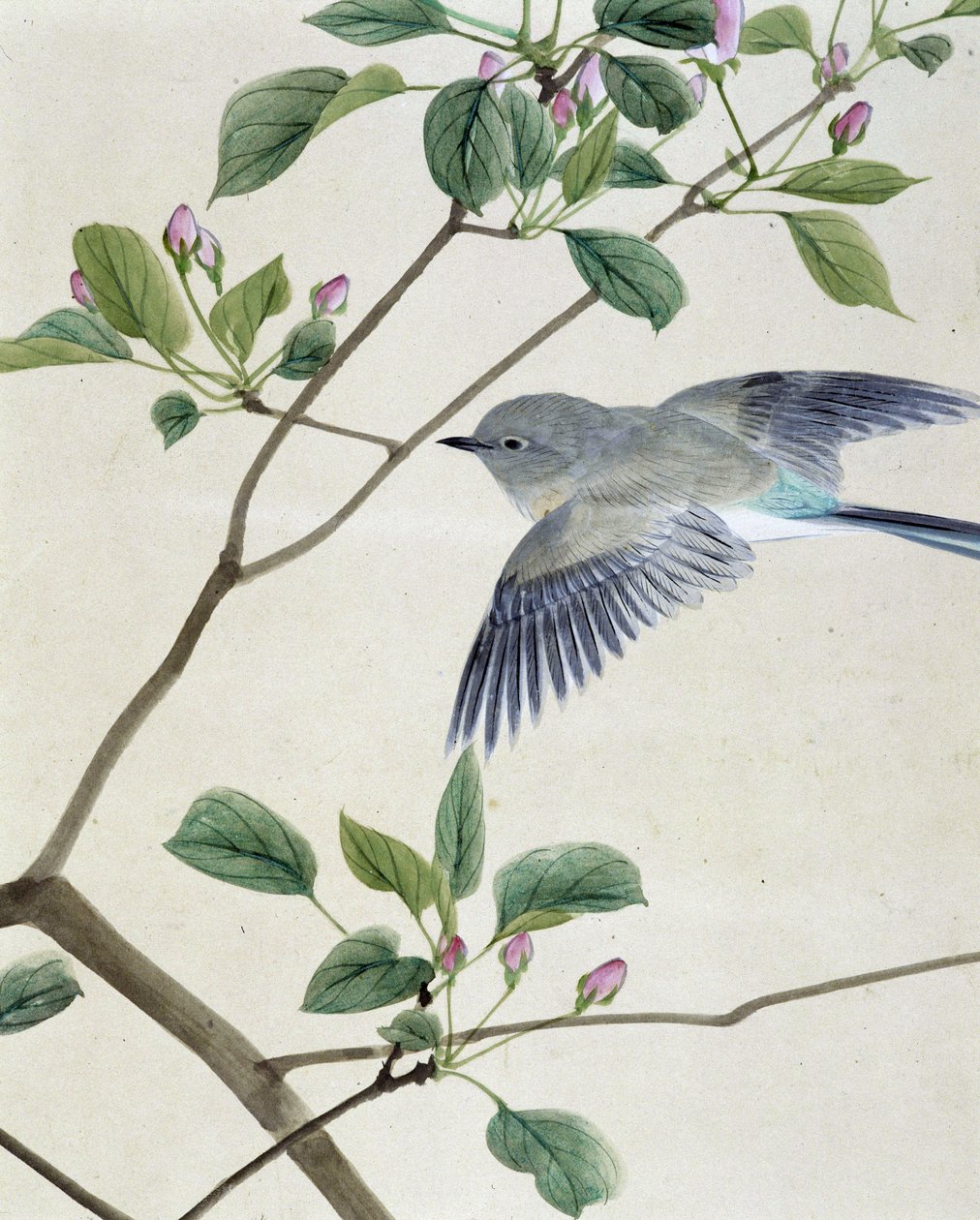 Bird - japonská kresba Riou Chim, konec 19. století od Unknown artist