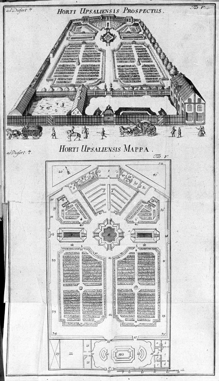 Výhledová a plánovaná botanická zahrada - HORTI UPSALIENSIS. od Unknown artist