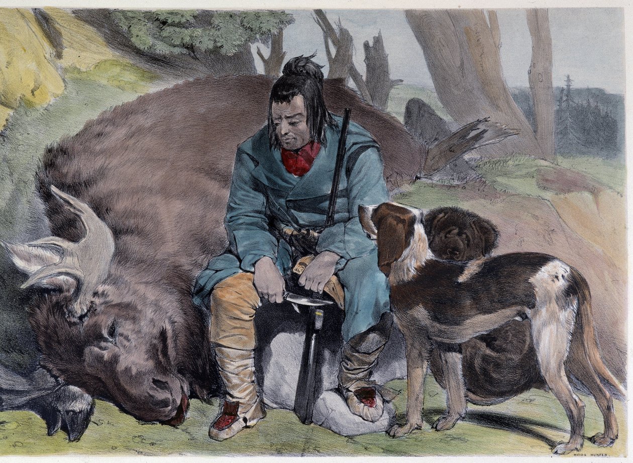Kanadský Huron Elk Hunt - v "" Shyth