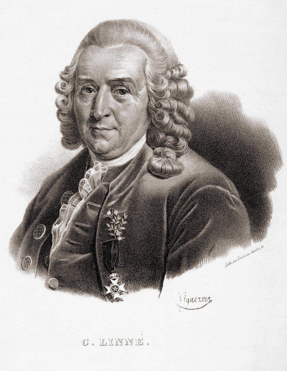 Carl Von Linné švédský přírodovědec a spisovatel (1707 - 1778). od Unknown artist